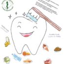 Seite aus Zahnpflege-Schulungsheft