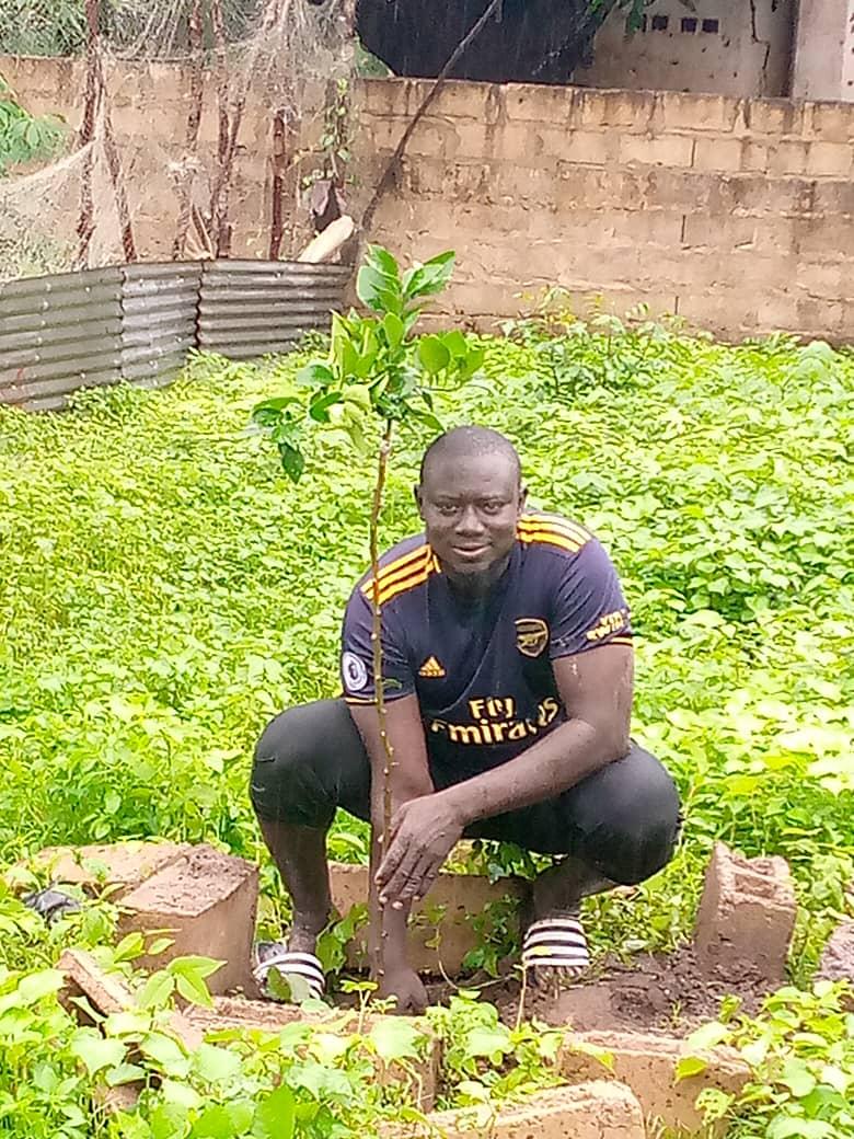 Neue Bäume für Faraba Sutu