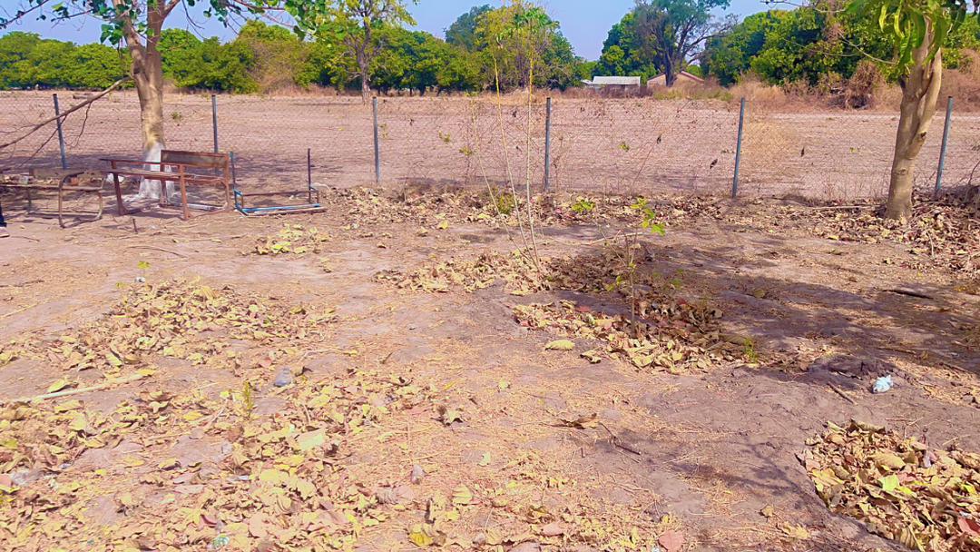 SMD: Toiletten für den Kindergarten geplant