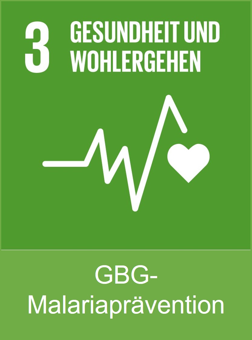 Malariaprävention: Zweite Ausgabe von Moskitonetzen in Sareh Marie Dobo