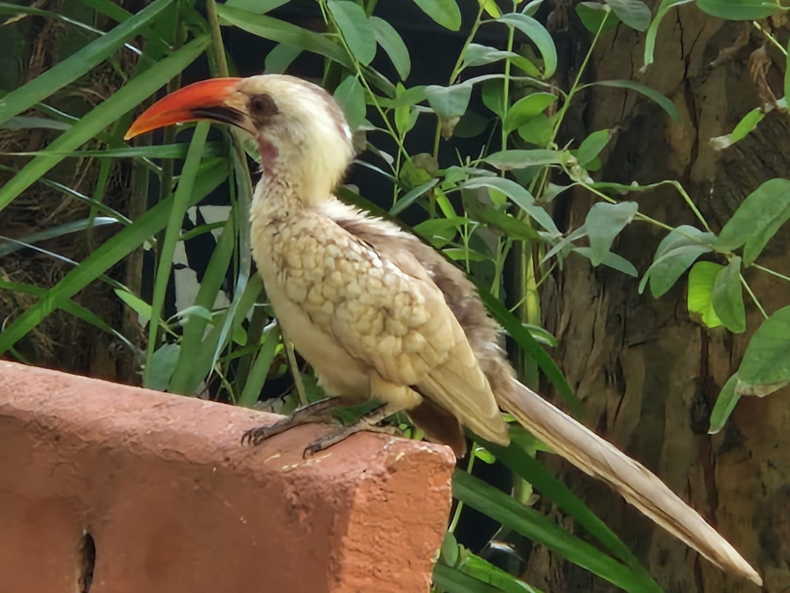 Spaßfakt des Monats